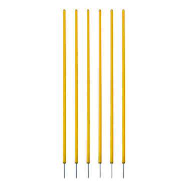 Coaching Sticks Set of 6